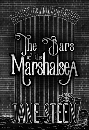 Cover of the book The Bars of the Marshalsea by Michael Horton