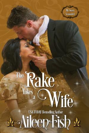 Cover of the book The Rake Takes a Wife by Ari Thatcher