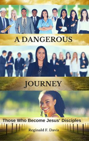 bigCover of the book A DANGEROUS JOURNEY by 