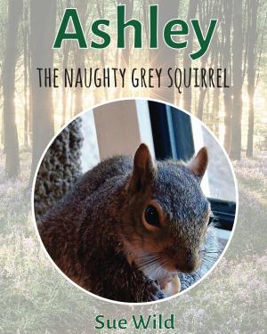Cover of the book Ashley by Francine Silverman