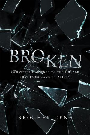 Cover of the book Broken: Whatever Happened to the Church That Jesus Came to Build by Amanda Mooney