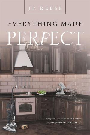 Cover of the book Everything Made Perfect by Dustin Roberts