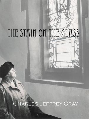 Book cover of The Stain on the Glass