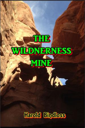 Cover of the book The Wilderness Mine by Horatio Alger
