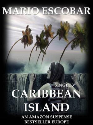 Cover of the book Caribbean Island by Frank Perry