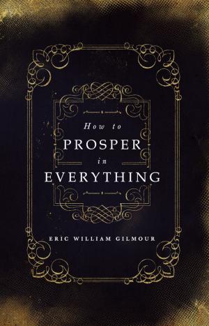 Cover of the book How To Prosper In Everything by Waliya Yohanna Joseph