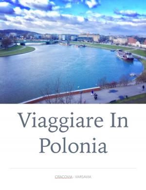 Book cover of Viaggiare in Polonia