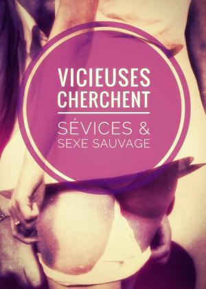 Cover of the book Vicieuses cherchent Sévices & Sexe sauvage by Nikki Palmer