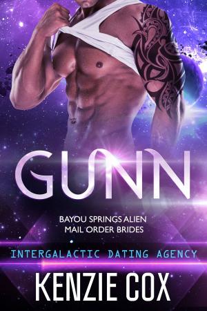 Cover of the book Gunn by Erec Stebbins