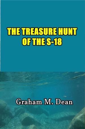 Book cover of The Treasure Hunt of the S-18