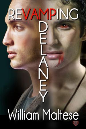 Cover of the book Revamping Delaney by Kim Lawrence