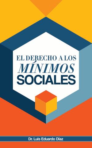 Cover of the book EL DERECHO A LOS MÍNIMOS SOCIALES by Eduardo Dávila