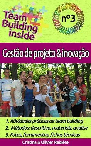 Book cover of Team Building inside n°3 - gestão de projeto & inovação