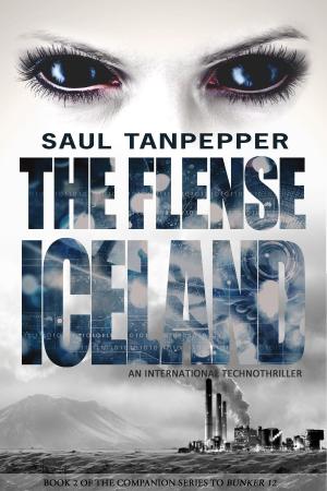 Cover of the book Iceland by Saul Tanpepper