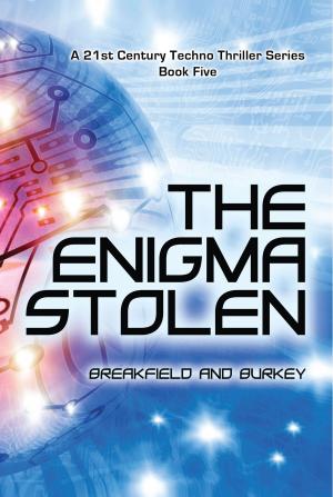 Cover of the book The Enigma Stolen by Patricia A.E. Hampton