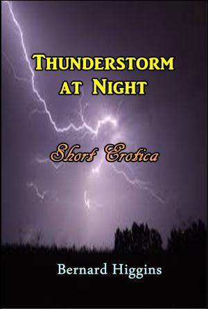 Book cover of Thunderstorm at Night