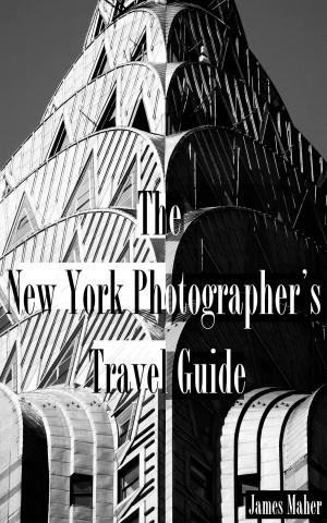 bigCover of the book The New York Photographer's Travel Guide by 