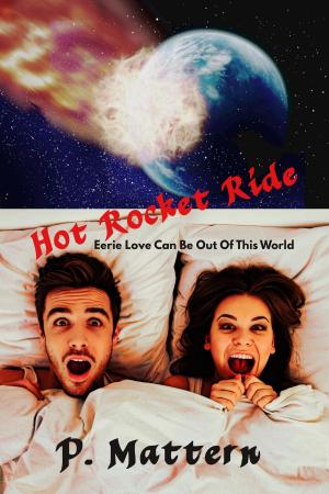 Cover of the book Hot Rocket Ride by Chrystal Wynd