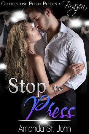 Cover of the book Stop the Press by Belladonna Bordeaux