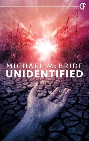 Cover of the book Unidentified by Denis Leclercq