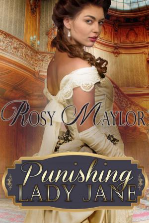 Cover of the book Punishing Lady Jane by Ava Sinclair