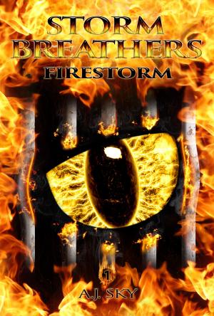 Cover of the book Firestorm by Darren Lamb