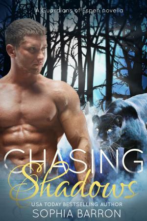 Cover of the book Chasing Shadows by Pauline O`Brayn