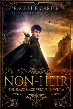 Book cover of Non-Heir