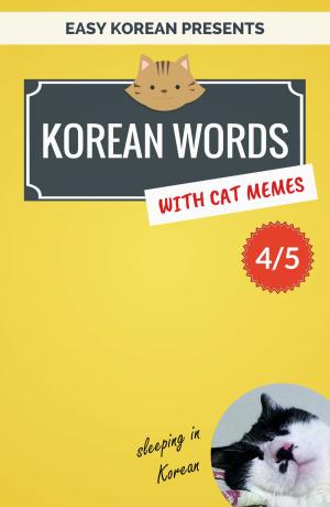 Cover of the book Korean Words with Cat Memes 4/5 by Min Kim