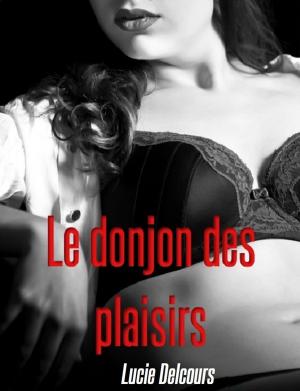 Cover of the book Le donjon des plaisirs by Lucie Delcours