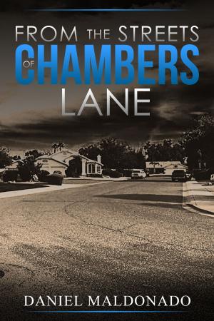 Book cover of From the Streets of Chambers Lane