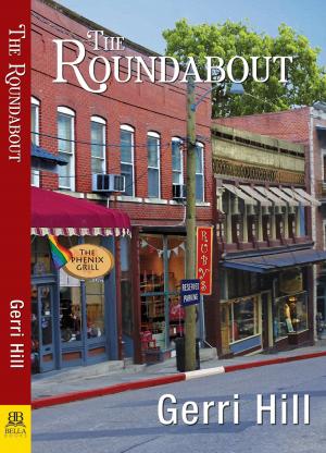 bigCover of the book The Roundabout by 