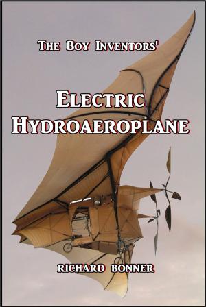 Cover of the book The Boy Inventors' Electric Hydroaeroplane by Harry Castlemon