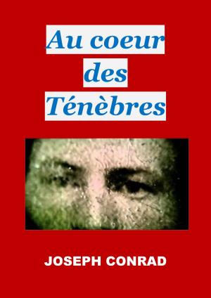 Cover of the book Au coeur des ténèbres by Jules Verne