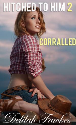 Book cover of Hitched to Him, Part 2: Corralled