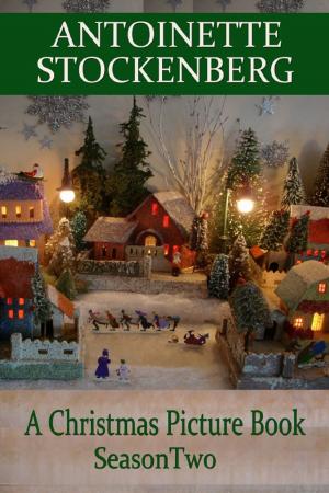 Cover of the book A Christmas Picture Book: Season Two by Antoinette Stockenberg