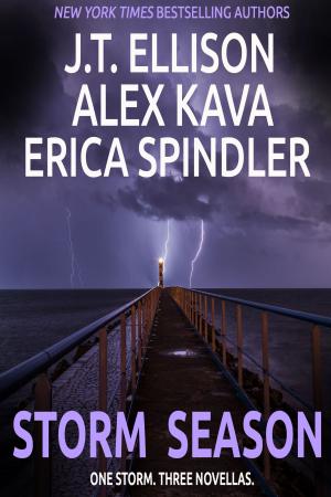 Book cover of Storm Season