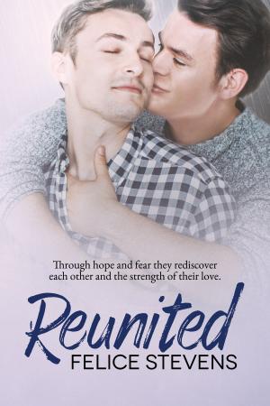 Cover of the book Reunited by Maureen Child