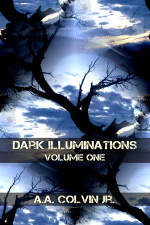 Cover of the book Dark Illuminations by Ray Ronan