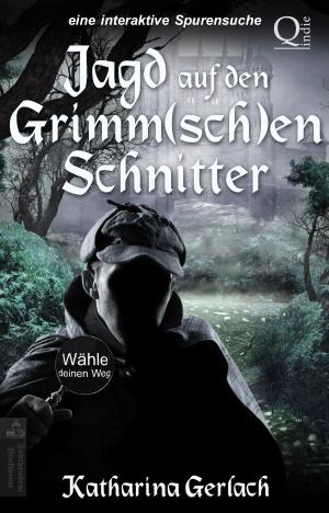 Book cover of Jagd auf den Grimm(sch)en Schnitter