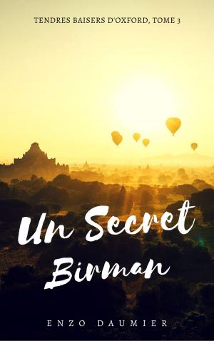 Cover of the book Un Secret Birman by jos thomasse