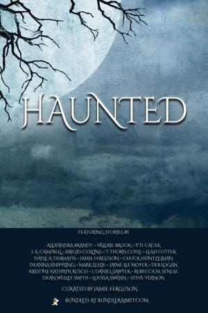 Cover of the book The Haunted Bundle by Leah Cutter, Ron Collins, Dayle A. Dermatis, Annie Reed, Kristine Kathryn Rusch, Rebecca M. Senese, Leslie Claire Walker