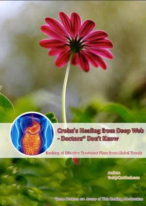 bigCover of the book Crohn’s Disease Healing by 
