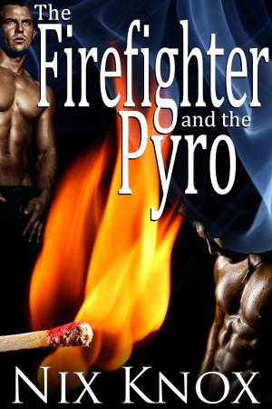 Cover of the book The Firefighter and the Pyro by Rachel Real