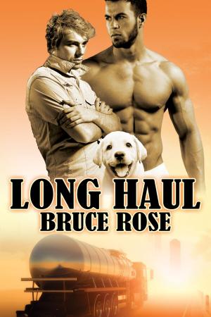 Cover of the book Long Haul by Nicky Charles