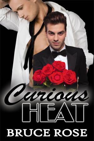 Cover of the book Curious Heat by N.A. Alcorn
