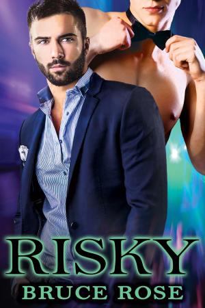 Cover of the book Risky by Rebecca J. Clark