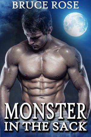 Cover of the book Monster in the Sack by Shawntelle Madison
