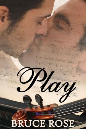 Book cover of Play