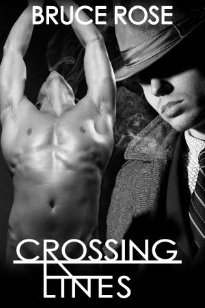 Book cover of Crossing Lines